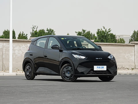 2025 BYD Seagull Image 10